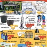 Big Lots Store Weekly Ad