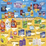 Big Lots Store Weekly Ad