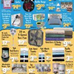 Big Lots Store Weekly Ad
