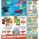 Big Lots Store Weekly Ad